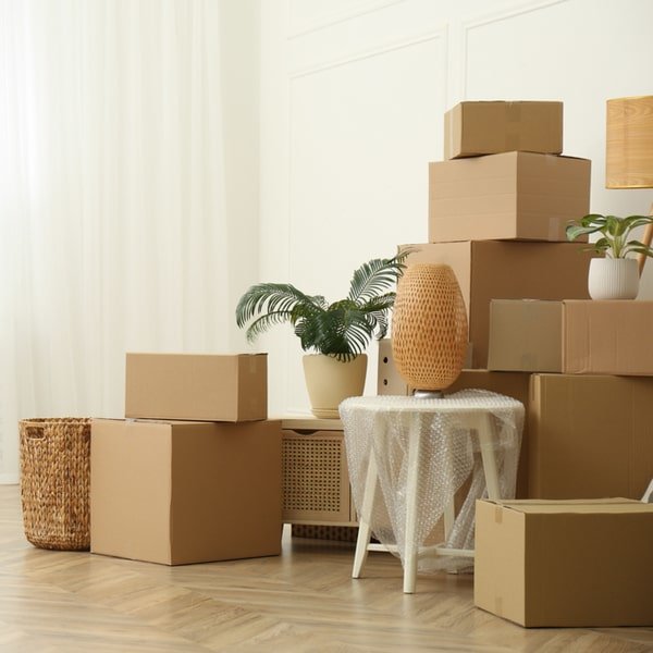 moving boxes