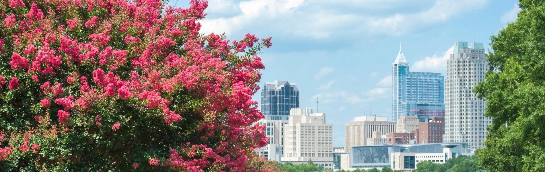 View of Raleigh near Fuquay-Varina, North Carolina NC